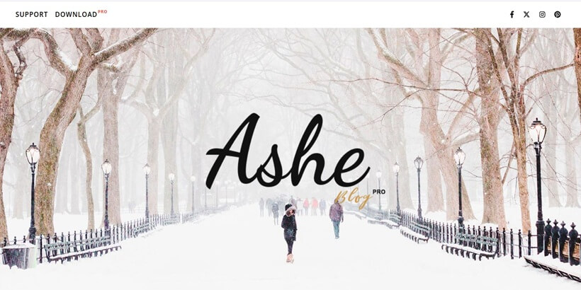 Ashe-Pro-Best-Free-Freelance-WordPress-Themes