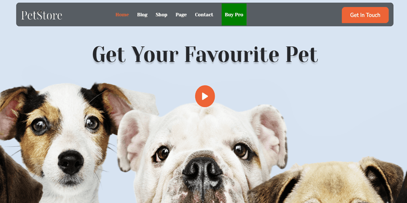 Animal-Caretaker-
