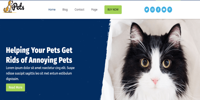 Animal-Pet-Shop-