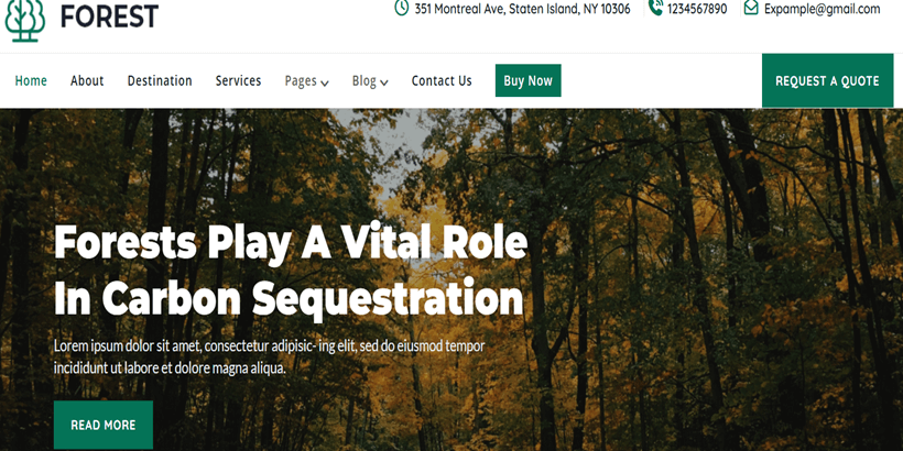 Animal-sanctuary-