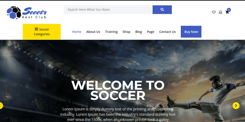 Soccer-Sports-