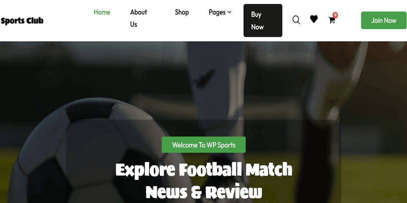Sports-Agency-